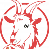 Fresh mutton available online at FoodZunction - Buy premium quality mutton now