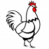 Buy fresh chicken online at FoodZunction - Your trusted source for quality meat
